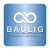 BAULIG Unternehmerallianz-p-500